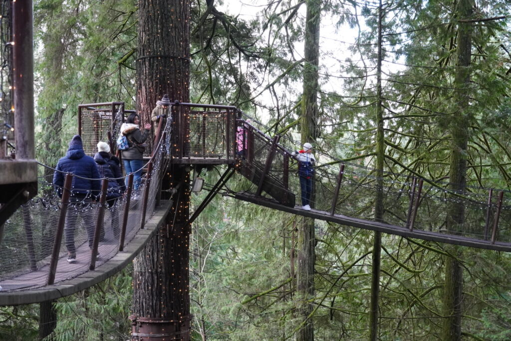 Treetops Adventure ツリートップアドベンチャー