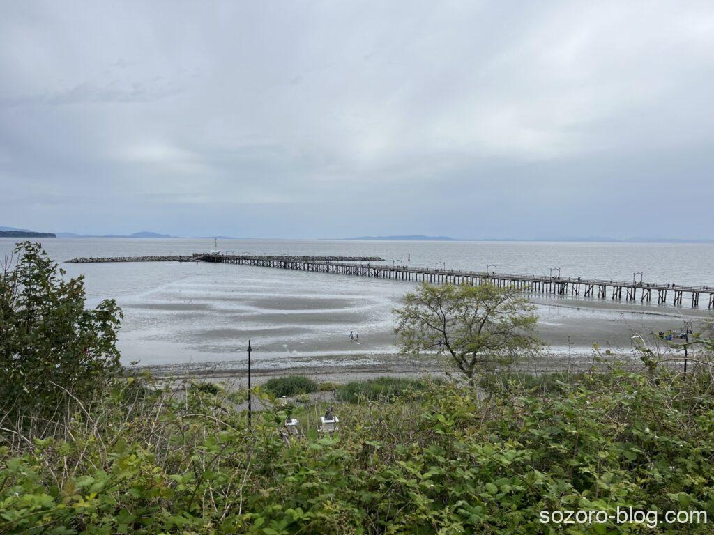 海と桟橋