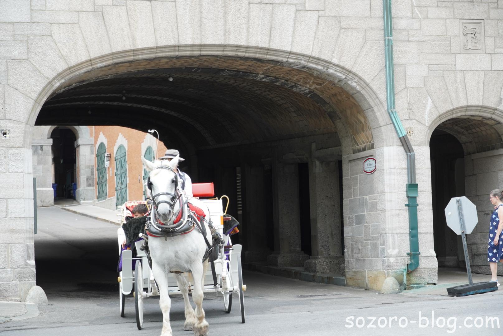 ケベックを走る馬車